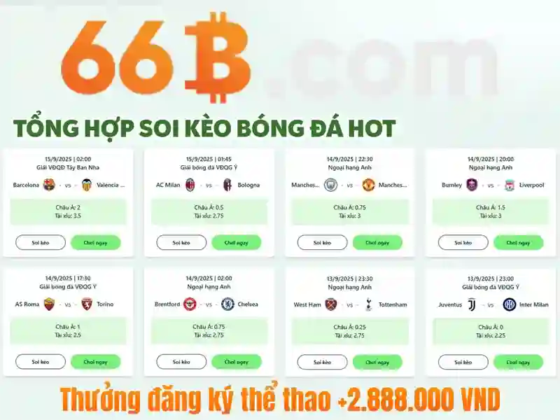 https://jcppfabric.com/images/text/66b/66b-text2603051275.webp Khả năng và giới hạn