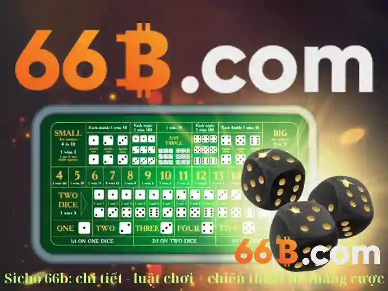 Tính năng và ứng dụng của 66B
